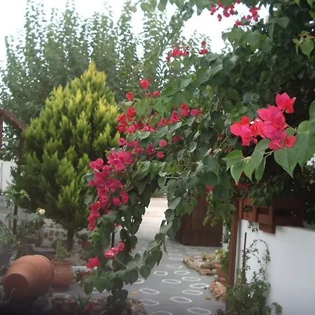 Panorama 스키로스